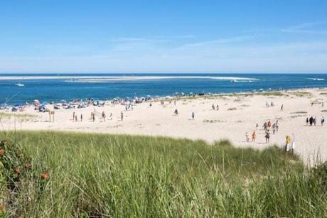 Lighthouse Beach in Chatham MA is just one of the many Cape Cod beaches where great whites have been spotted. Every year more and more great whites are spotted off the coast of Cape Cod due to the increasing seal population