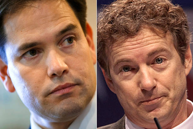 'He literally physically assaulted me by punching me in the face: Rand Paul staffer attacked by Marco Rubio deputy campaign manager in Michigan bar