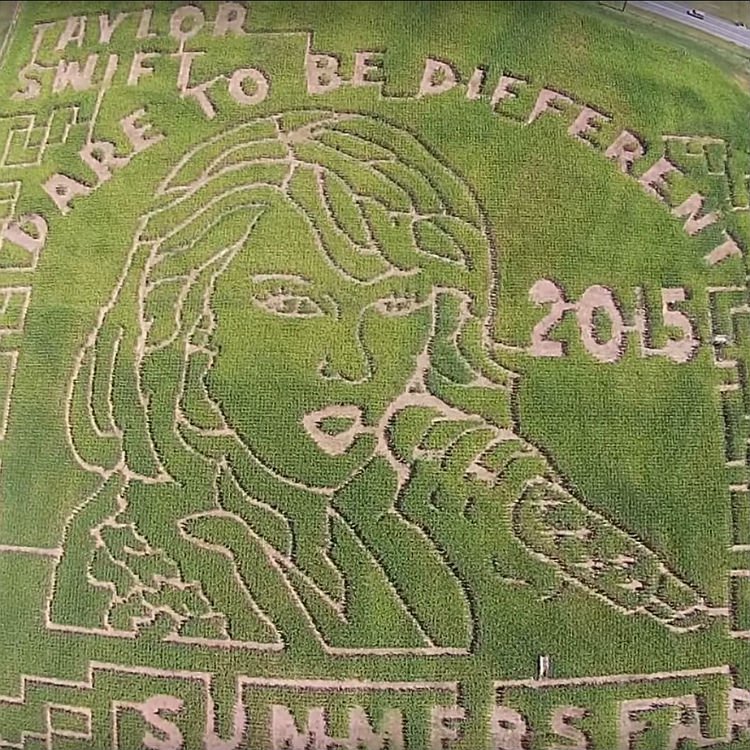 Taylor Swift's face put onto 12 acre maze in Maryland America