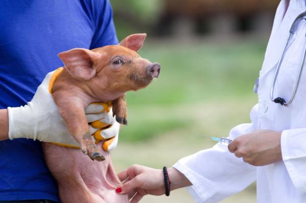 Antibiotic Use in U.S. Fast-Food Meat Has Yet to Be Curbed