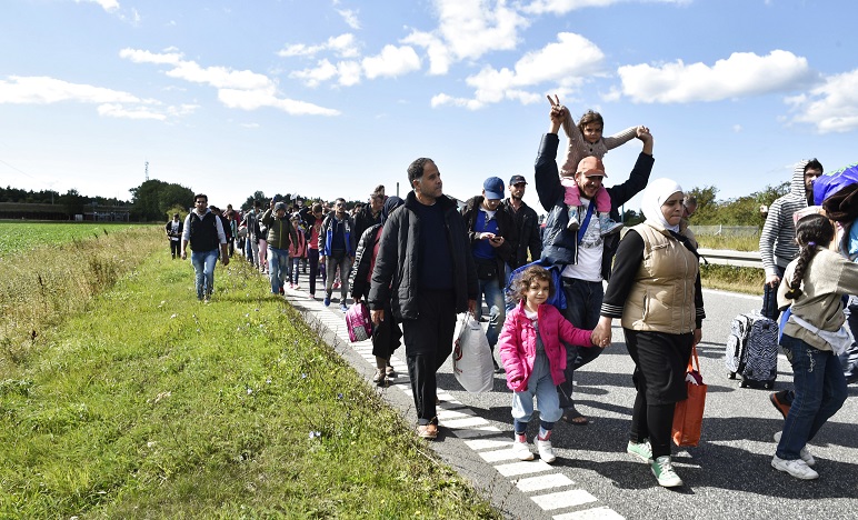 Migrants mainly from Syria walk on the highway 12km north of Rodby Denmark moving to the north today. The refugees want to reach Sweden to seek asylum there. – AFP pic