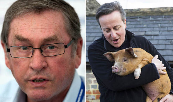 David Cameron and a pig