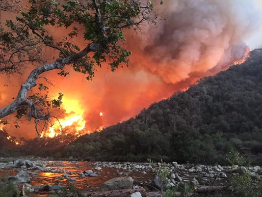 California wildfires destroy 1000 homes with tally rising daily