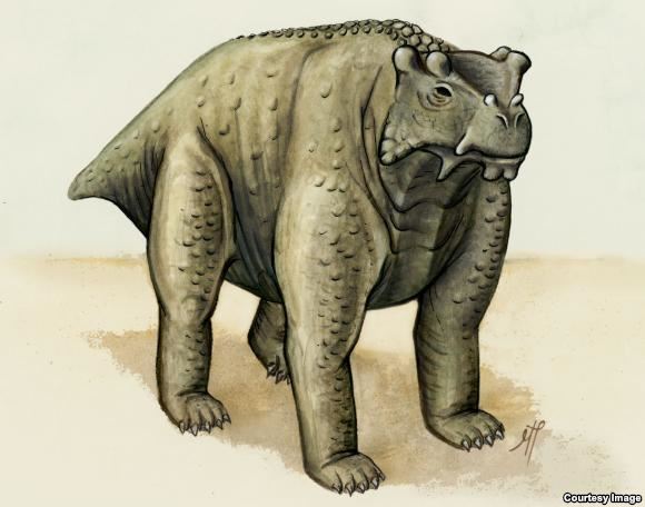 About the same size as a cow this pre-reptile also stood the same way — upright with its legs underneath. It may be the earliest known creature to do so according to a new study