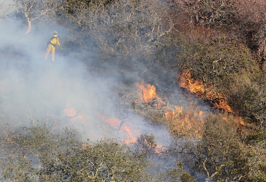 Brush and oak trees flare up as firefighters work to contain a blaze that burns along Highway 68 east of Laureles Grade in rural Salinas Calif. Saturday Sept. 19 2015. MANDATORY CREDIT