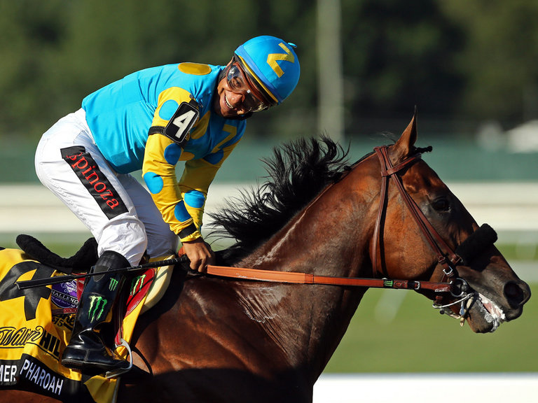 American Pharoah Set for the Breeders Cup Classic