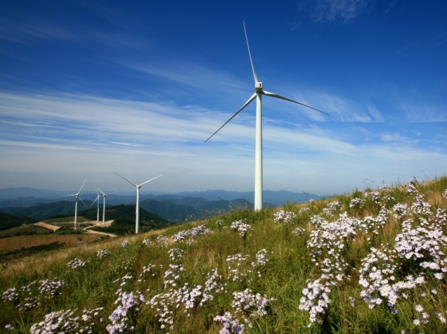 Renewables electricity generation up 13.5% in one year