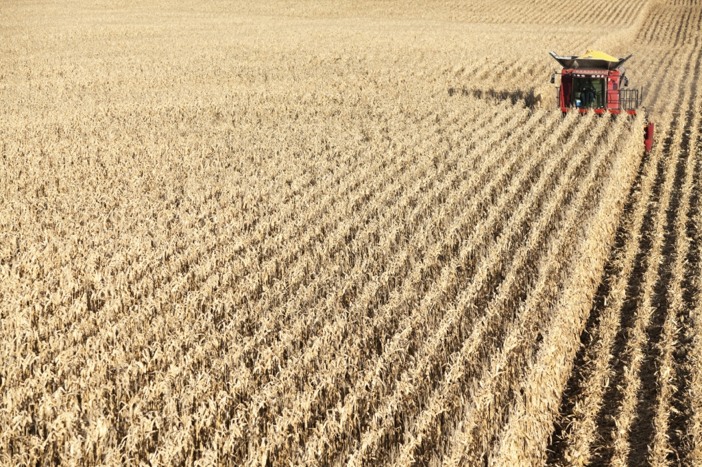 Chicago soybeans, wheat, corn retreat on improved U.S. crop prospects