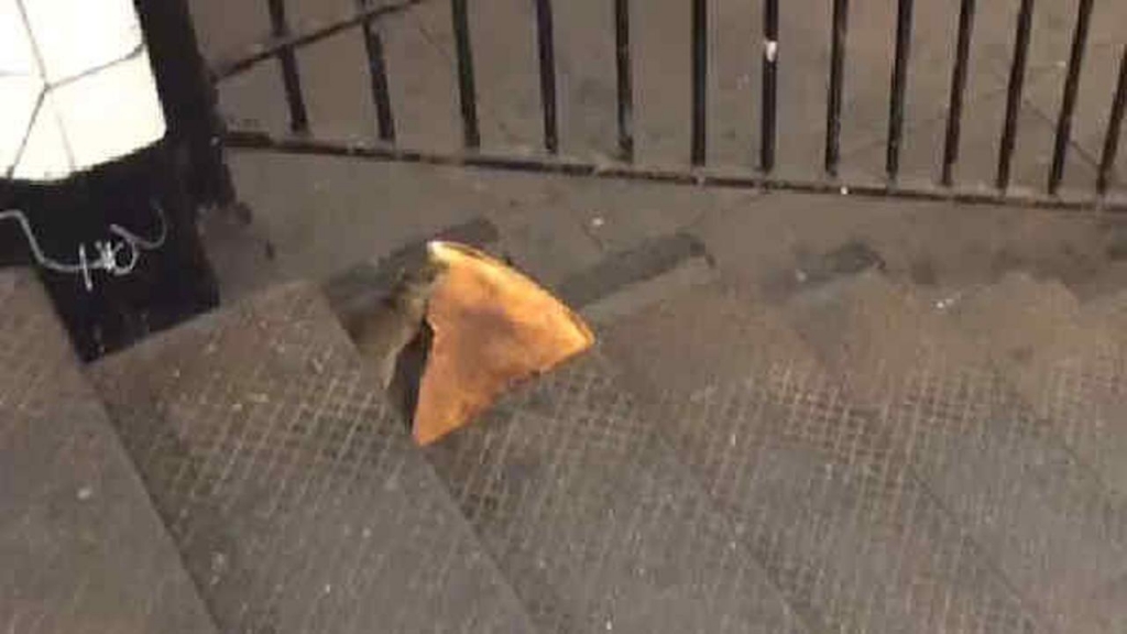 PizzaRat Video shows New York City rodent carrying pizza slice down subway stairs