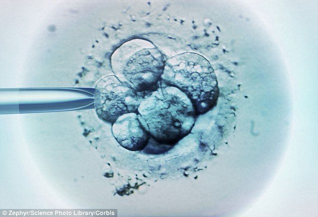 UK Scientists Want to Edit Genes in Embryos- Clapway