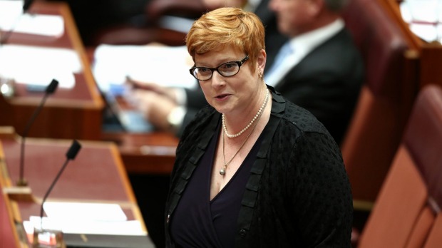 Senator Marise Payne has been named Australia's first female Defence Minister in Malcolm Turnbull's cabinet reshuffle