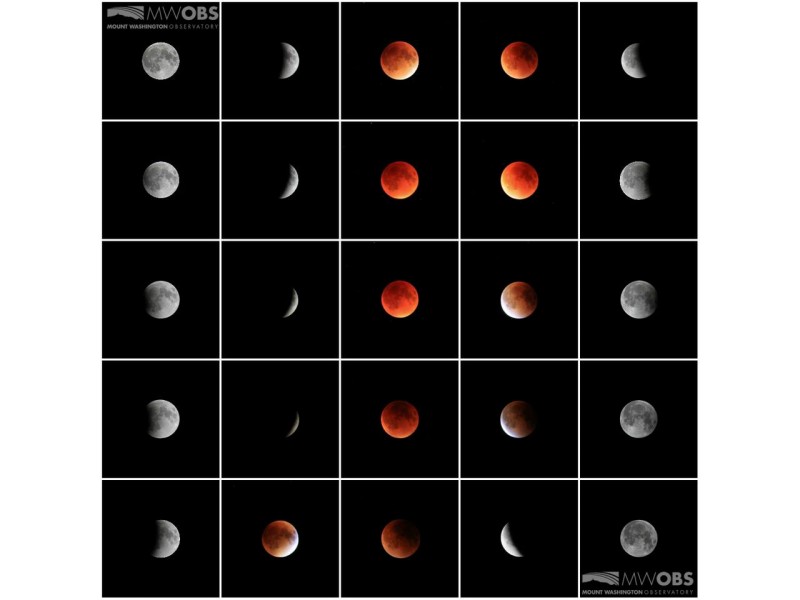 Did You Miss the Total Eclipse of the Moon