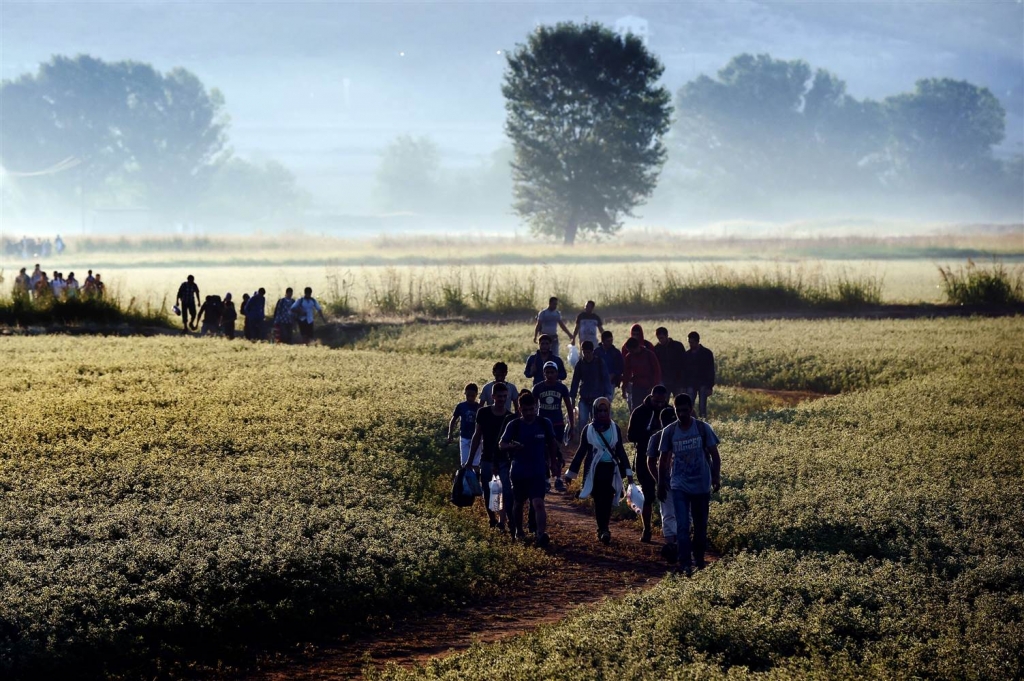 Image Syrian refugees and migrants cross the border between Greece and Macedonia