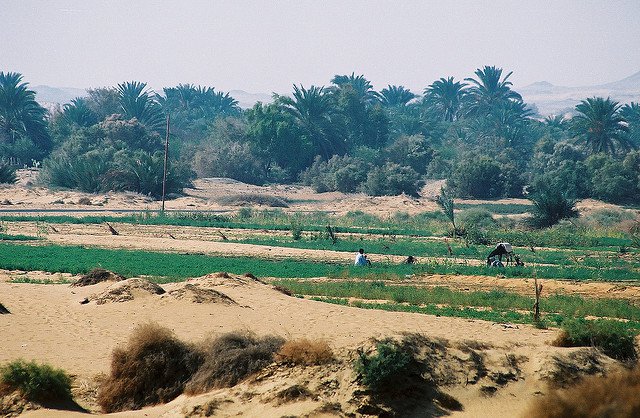 The Western Desert and its Oases have been a popular draw for adventurous tourists