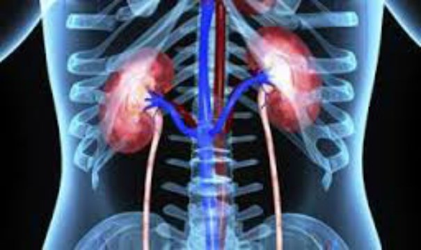 First-Ever Survival Bump in Renal Cell Cancer