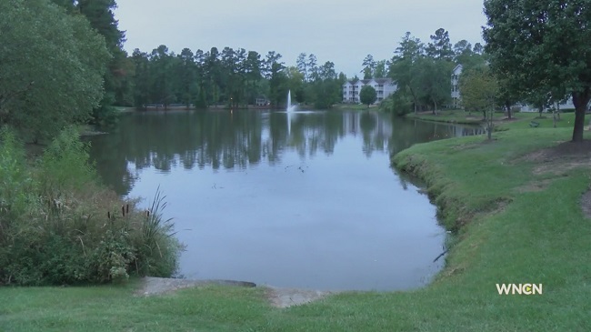 Police: Father tried to drown 3 children in pond