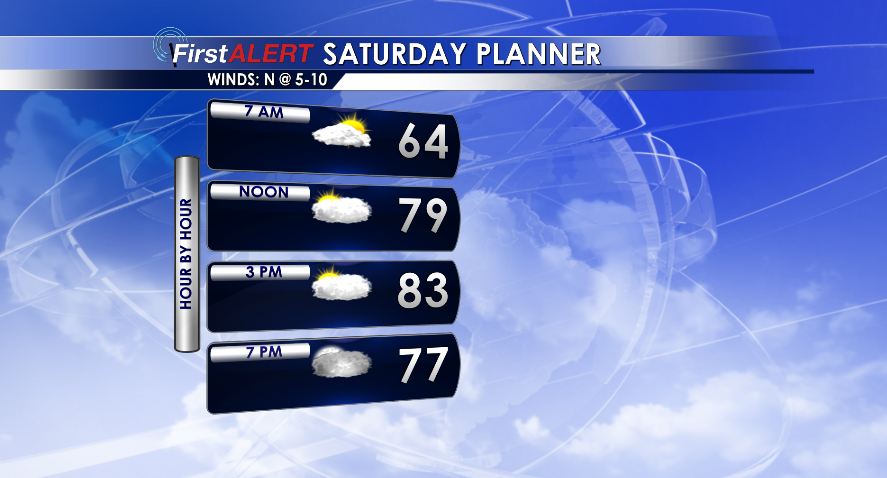 SATURDAY PLANNER