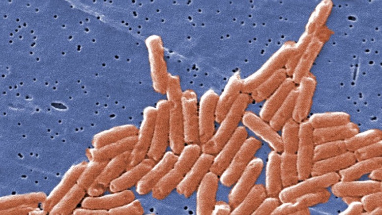 Pima Co. death linked to salmonella outbreak is 3rd in nation