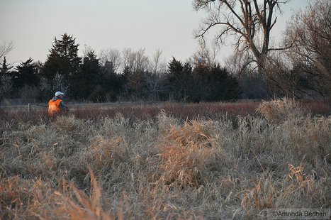 The Latest: Utah congressman: Grouse decision 'cynical ploy'