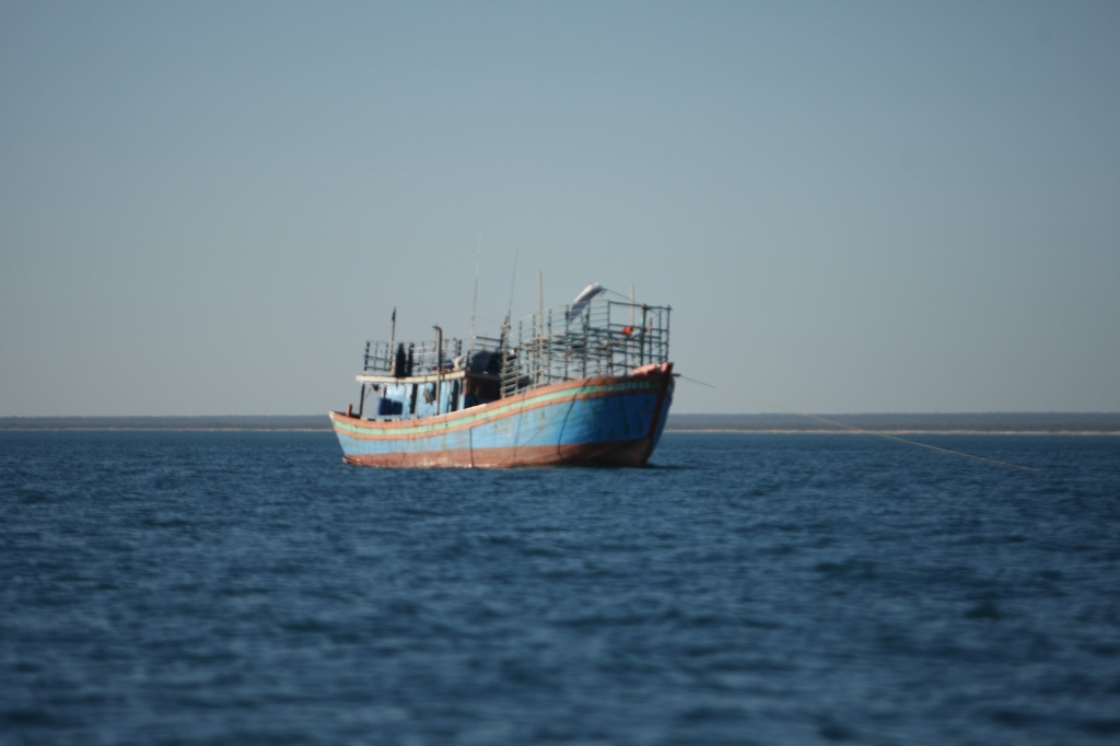 Amnesty slams lawless boats policy