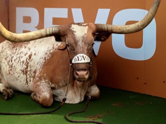 Bevo XIV