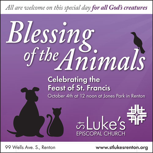 STL_500x500_StFrancis_WebGraphic