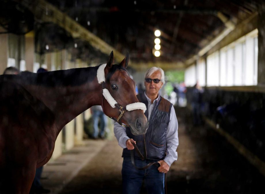 Kentucky Derby and Preakness Stakes winner American Pharoah pauses as he is led around the barn by trainer Bob Baffert after arriving at Belmont Park in Elmont N.Y. In a few days there will be an empty stall in B