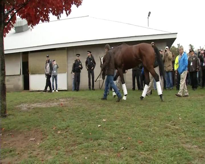 American Pharoah arrives at Keeneland for last race