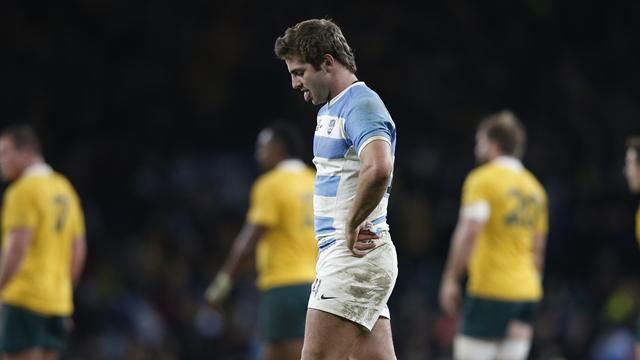 Argentina report card Pumas left to rue injuries to key players