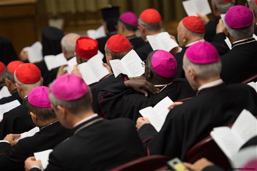 Catholic Bishops' consensus reveals their rifts