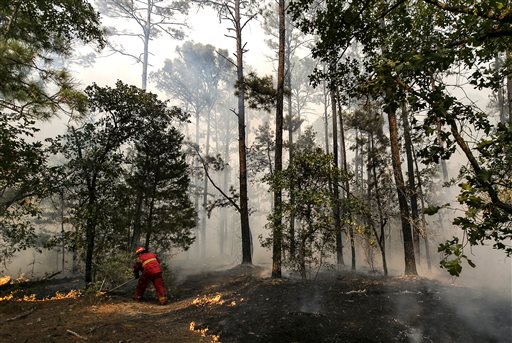 Smithville Fire Capt. Adrian Sepulveda uses a rake to put out hotspots as they fight the Hidden Pines Fire burning at the end of Keller Road near Smithville Texas Wednesday Oct. 14 2015. The Texas A&M Forest Service says challenging topography and unc