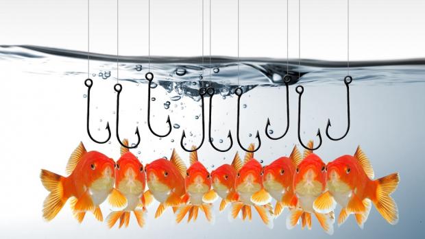 Cisco nets fishy botnet