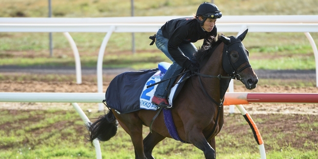 Connections were thrilled when Hokko Brave drew a wide barrier away from the traffic for the A$3 million Caulfield Cup