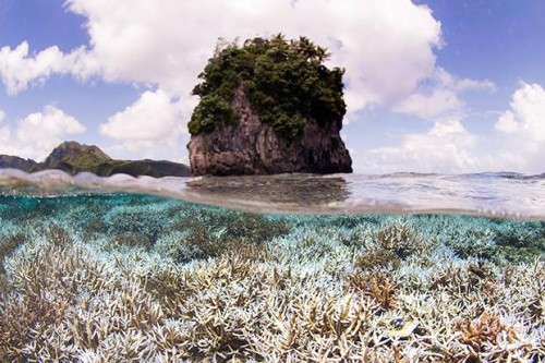 NOAA declares global event putting coral reefs in jeopardy