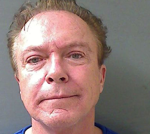 David Cassidy Hit And Run