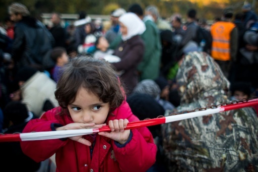 EU Austria agree fences have no place in Europe: statement