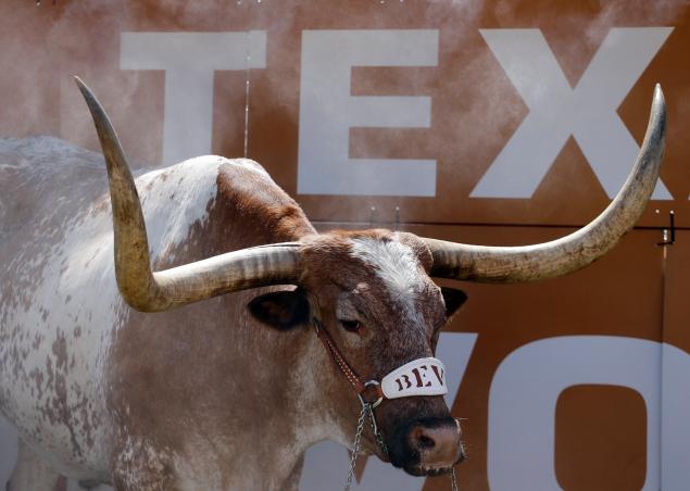 Texas mascot Bevo is sprayed with a mist to keep cool prior to a Sept. 26 game vs. Oklahoma State