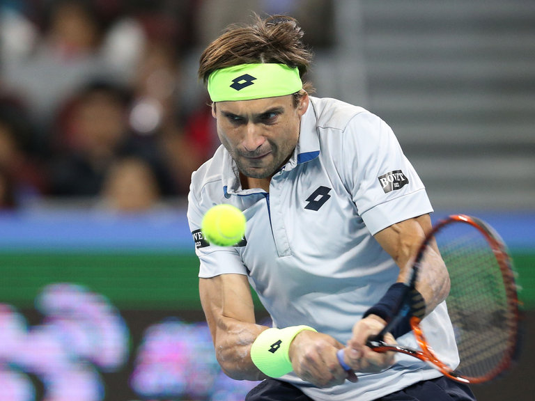 David Ferrer Victorious in Vienna