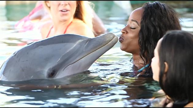 Woman 'captures moment dolphin recovers her mobile phone from Atlantic Ocean'