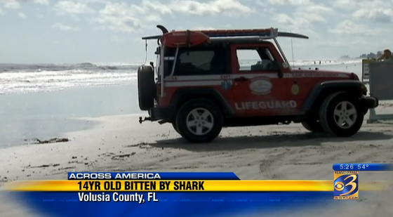 Teen repels shark with punch after bite