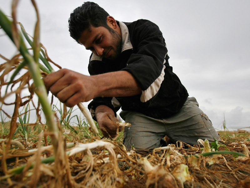 Agriculture