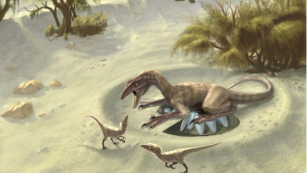 How Hot Were Dinos? Eggshells Reveal