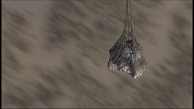 National Guard airlifts rare baby dinosaur fossil out of New Mexico desert 