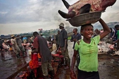 Karra cattle market near Lagos