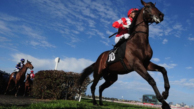 Viral sensation Opie Bosson hopes Caulfield Cup favourite Mongolian Khan will be a highlight for another reason come Saturday's $3 million feature