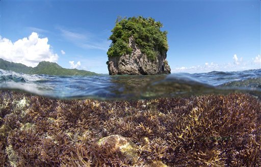 XL Catlin Seaview Survey taken in December 2014 shows coral before bleaching in American Samoa. The first image was taken when the XL Catlin Seaview Survey responded to a NOAA coral bleaching alert. Devastating bleaching of