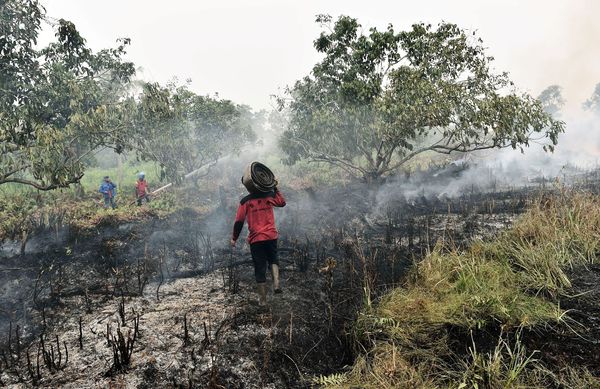 Life goes on as normal in haze-hit Indonesian city