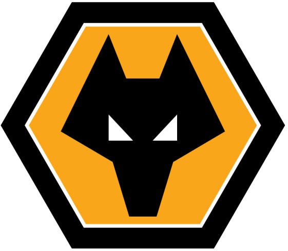 Championship club Wolverhampton Wanderers put up for sale by chairman Steve Morgan