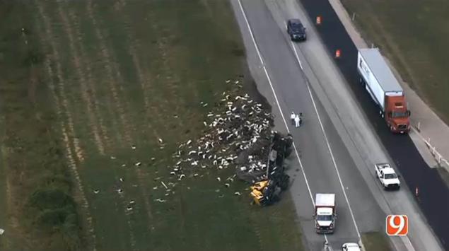 I-35 in Oklahoma was the site of a truck accident that left millions of bees swarming the roadway