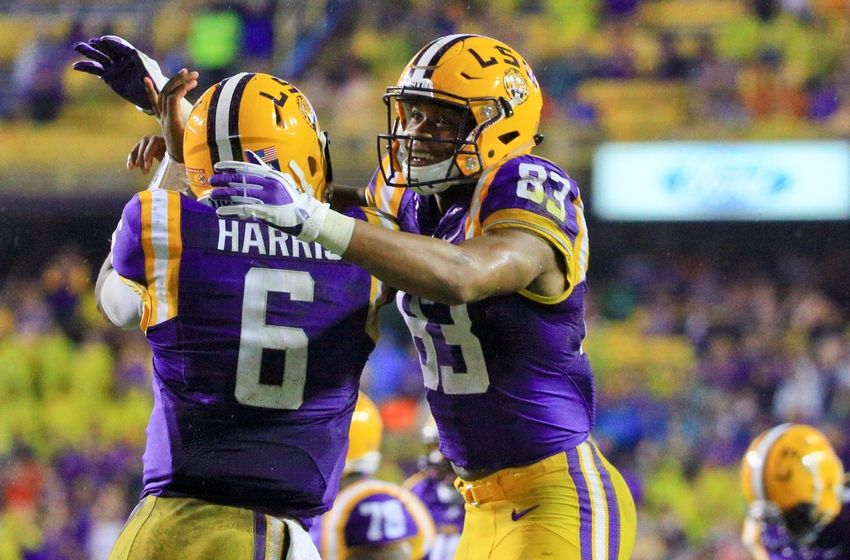 Earning their stripes LSU football's top performers in Week 8